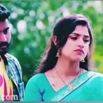 Read more about the article Thirumanam serial WhatsApp status