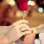 Read more about the article Rose day images