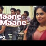 Read more about the article Maane Maane Song Lyrics – Uriyadi