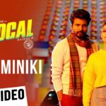 Read more about the article Menaminiki Song Lyrics – Mr. Local