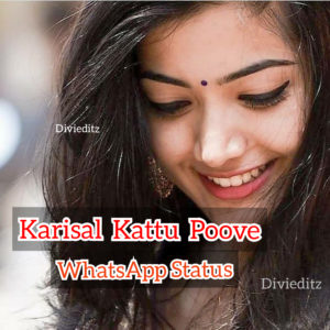 Read more about the article Karisal Kattu Poove Whatsapp Status