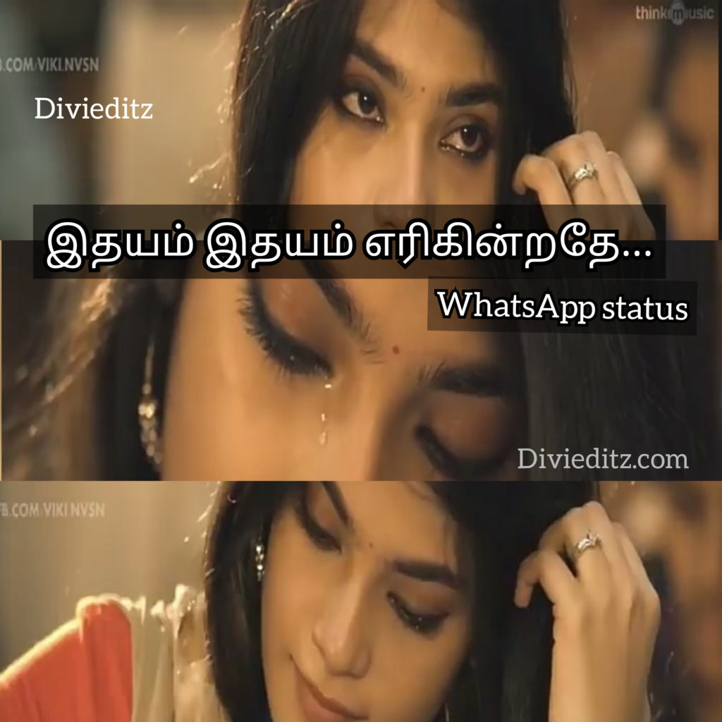 Margali Thingal Allava Whatsapp Status