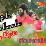 Read more about the article Nenjodu Kalandhavalae song lyrics – Sembaruthi Serial