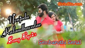 Read more about the article Nenjodu Kalandhavalae song lyrics – Sembaruthi Serial