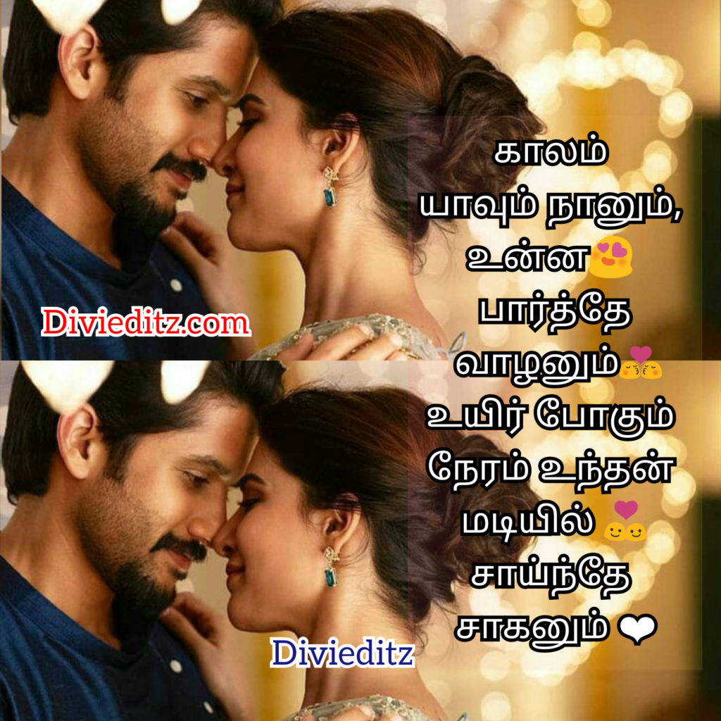 Whatsapp Dp Profile Dp Love Quotes Divi Editz Lyrics