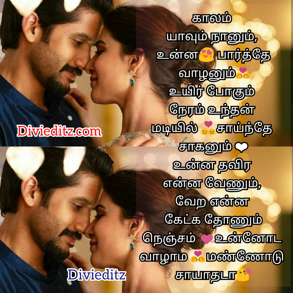 Whatsapp Dp Profile Dp Love Quotes Divi Editz Lyrics