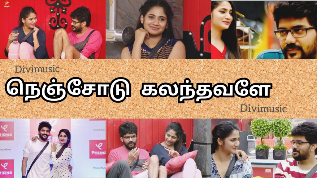 Nenjodu Kalanthavale Sembaruthi serial Song – Kavin Losliya