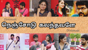 Read more about the article Nenjodu Kalanthavale Sembaruthi serial Song – Kavin Losliya