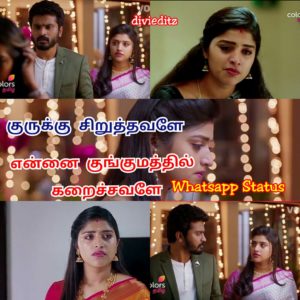 Read more about the article Thirumanam Serial Whatsapp Status