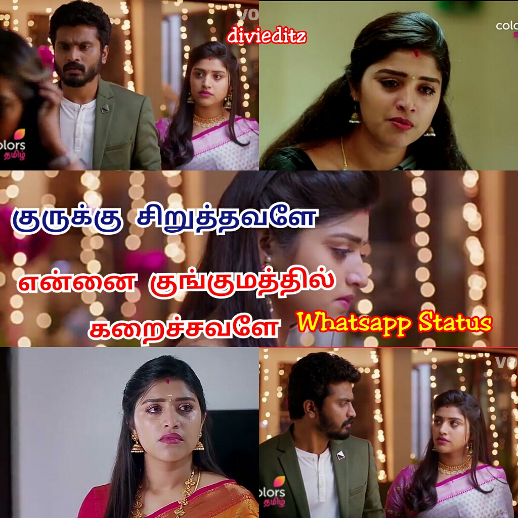 You are currently viewing Thirumanam Serial Whatsapp Status