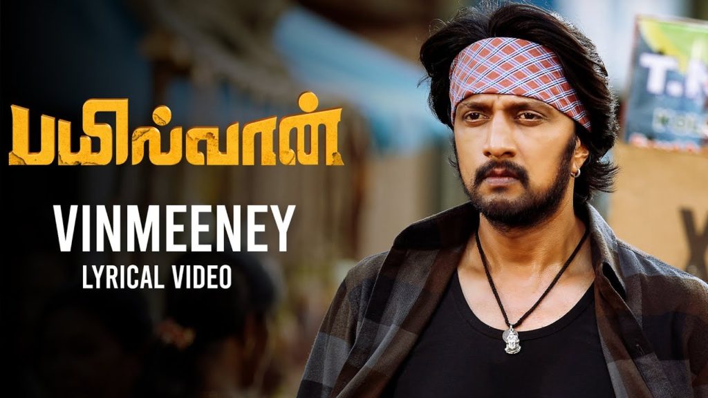 Vinmeeney Song Lyrics – Bailwaan