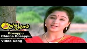 Read more about the article Rosappoo Chinna Rosappoo Female Version Song Lyrics – Suryavamsam