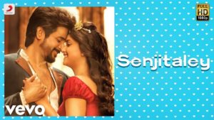Read more about the article Senjitaley Song Lyrics – Remo