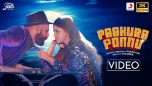 Read more about the article Pakkura Ponnu Song Lyrics – Varun Sunil