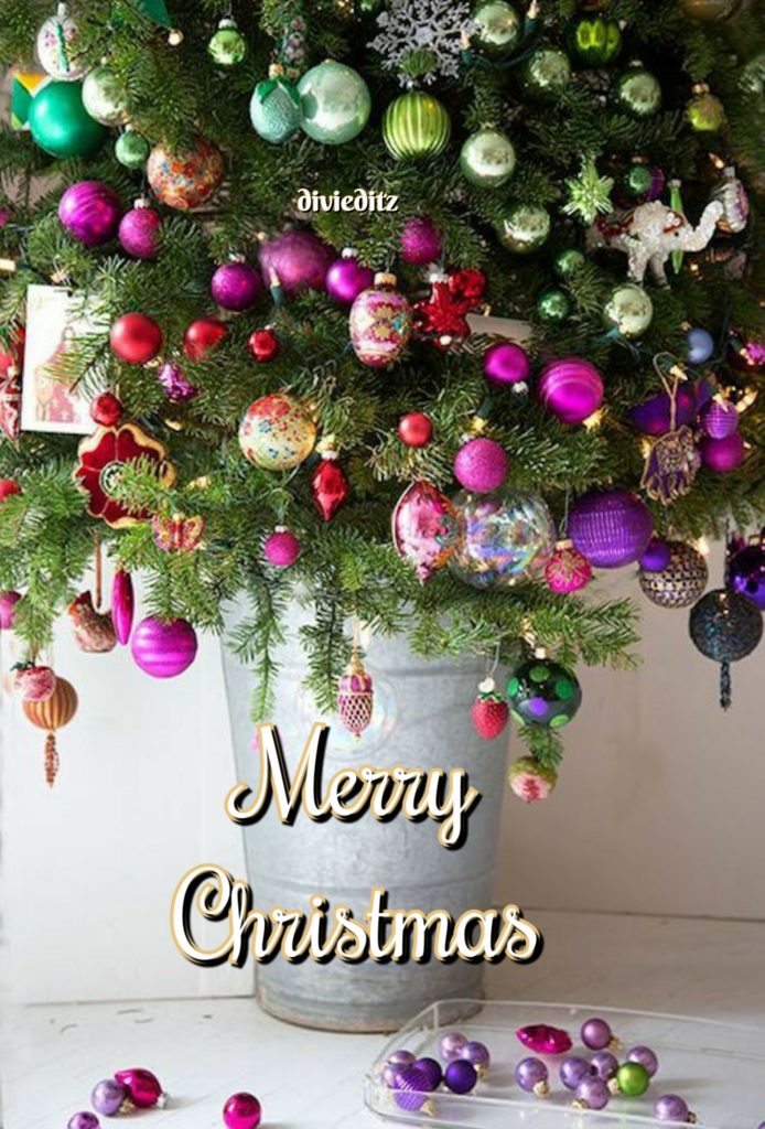 Christmas GIF, DP, Wishes, Wallpapers, Quotes