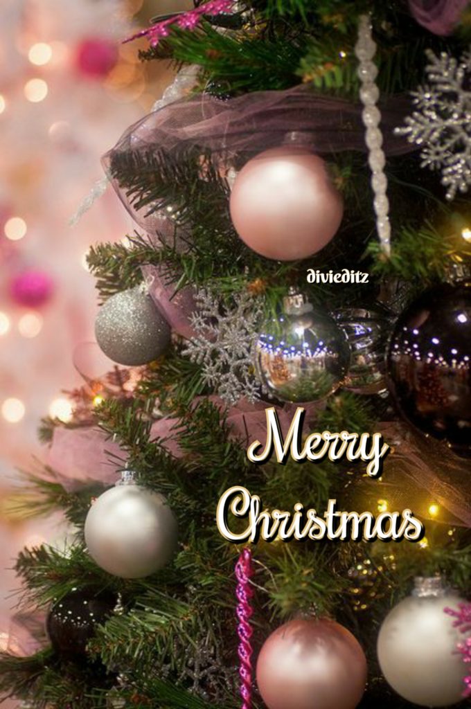 Christmas GIF, DP, Wishes, Wallpapers, Quotes