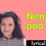 Read more about the article Nenjai Poopol Song Lyrics – Minnale