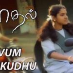 Read more about the article Poovum Pudikkithu Song Lyrics – Kaadhal